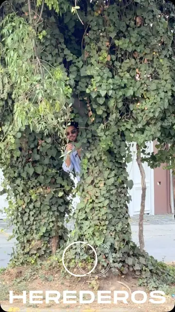 Anuncio del Congreso Herederos 2025: un joven se asoma entre la hiedra de un árbol, con el logotipo de Herederos.